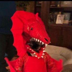 Pottery Barn Kids, dragon costume